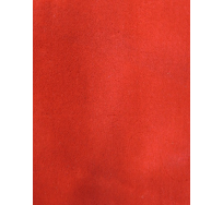 4954TKR